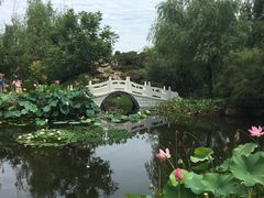 -武清南湖绿博园