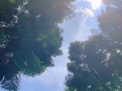 -重庆海昌加勒比海水世界