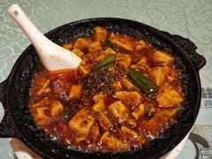 -陈麻婆豆腐总店