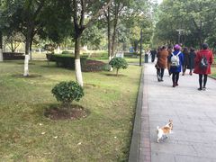 -重庆彩云湖湿地公园