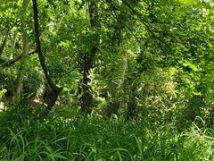-白马涧龙池景区