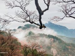 -洛阳白云山景区