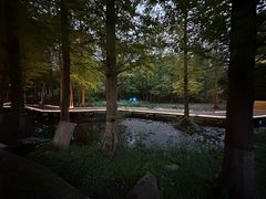 -我爱运动健身·游泳·瑜伽·普拉提馆(大卫城店)