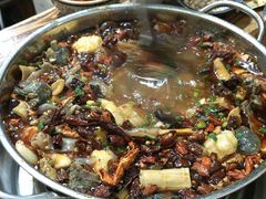 黑竹香鸡小锅-黑竹香鸡(营和巷店)