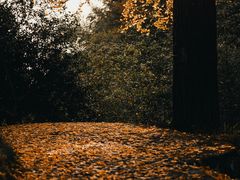 -丹山赤水风景名胜区