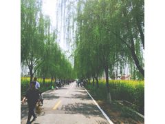 -兰陵国家农业公园