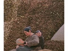 -兰陵国家农业公园