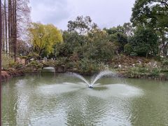 -上海醉白池公园