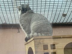 -青藏高原野生动物园