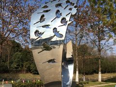 -昆山城市生态森林公园