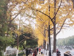 -苏州市立医院本部母子保健中心