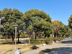 -上海滨江森林公园
