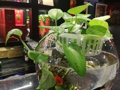 -野马国际·大汉食府