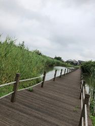 -水八仙生态园