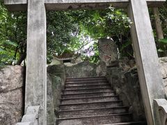 -小洲村