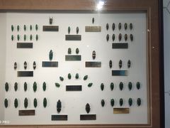 -上海昆虫博物馆