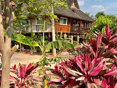 -西双版纳傣族园