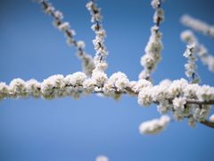 -泰山花样年华景区