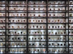 -药王庙(安国市)