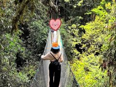 -云南屏边大围山国家公园