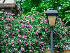 -颐和路民国时期公馆-风貌区