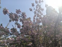 -武汉武昌站街道口华美达安可酒店