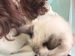 -怪兽屋·羊驼·猫咖·狗咖(俊华广场店)