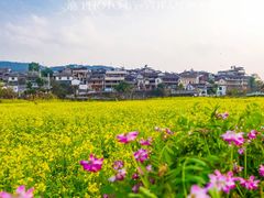 -比顿咖啡(和顺古镇店)
