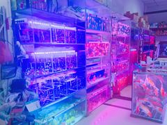 -花鸟鱼虫鲜花绿植市场(玉泉路店)