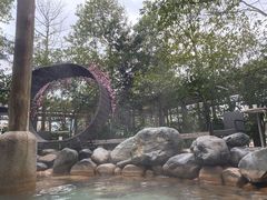 -张家港金凤凰度假村温泉