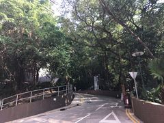 -香港大学