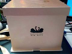 -BLACKSWAN黑天鹅(环球店)
