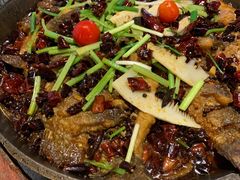 -老板恋上鱼(恒隆广场店)