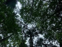 -都江堰普照寺