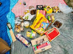 -上海共青森林公园