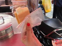 香草味-詹爷爷乌节路街头冰淇淋