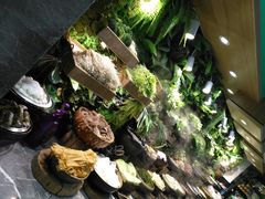 -一号桥自助火锅城(揽秀园西街店)