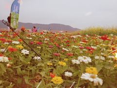-光明小镇欢乐田园