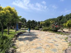 -大连蚂蚁岛度假区