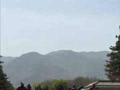 -秦始皇帝陵博物院-丽山园