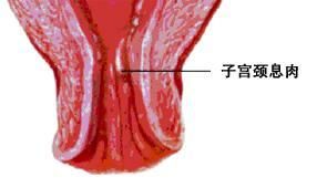 -邢台妇产医院