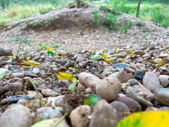 -南京金牛湖风景区