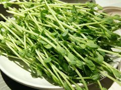 -夫妻肺片·中华老字号·正宗川菜(春熙路店)