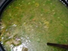 -古城苗家土菜馆(河景餐厅店)