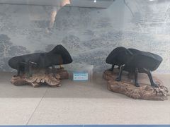 -甘肃地质博物馆