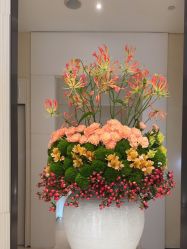 -奥斯芬欧系贵族SPA