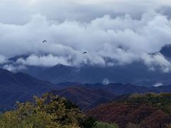-灵山