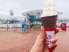 -富豪雪糕车流动点(尖沙咀店)