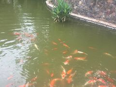 -三亚御海棠豪华精选度假酒店
