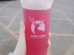 紫桂上仙茶-瑞幸咖啡(紫金数码园店)